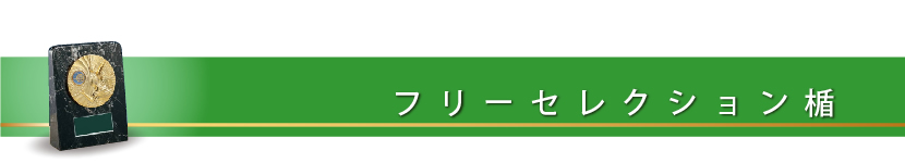 フリーＳ 楯