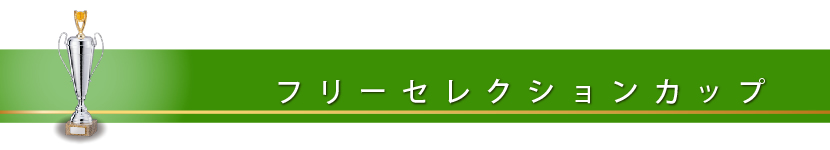 フリーＳ カップ