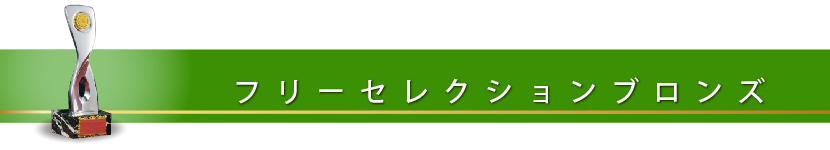 フリーＳ ブロンズ