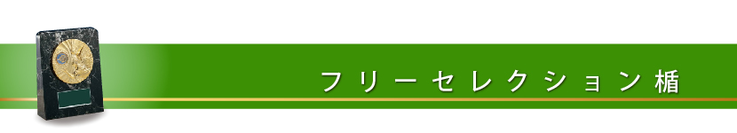 フリーＳ 楯