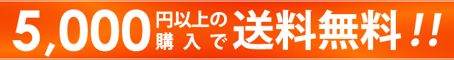 5000円以上の購入で送料無料！！