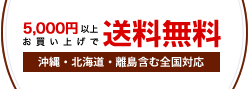 5000円以上お買い上げで送料無料